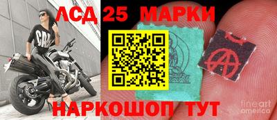 спиды Анапа